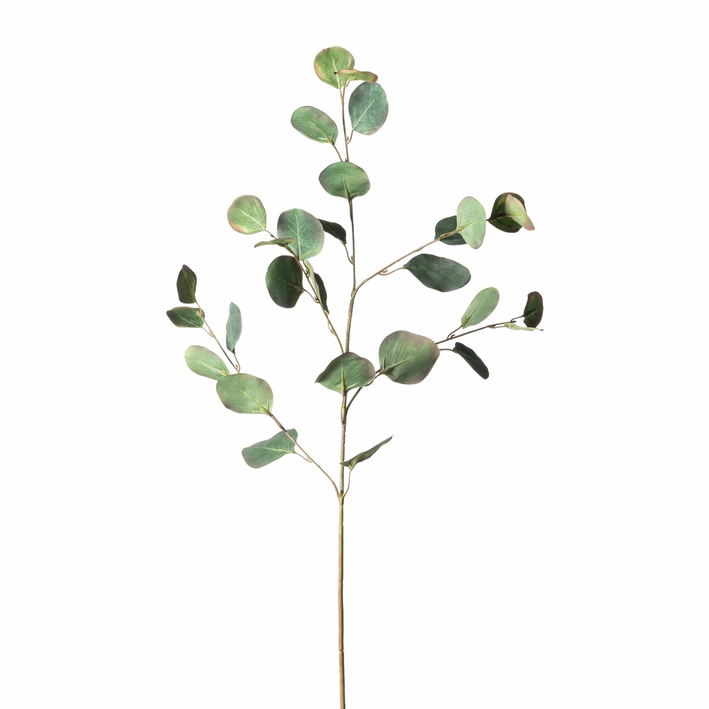 Rama Eucalipto - 90 cm