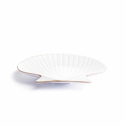 [2214562] PLATO CONCHA - 26 CMS